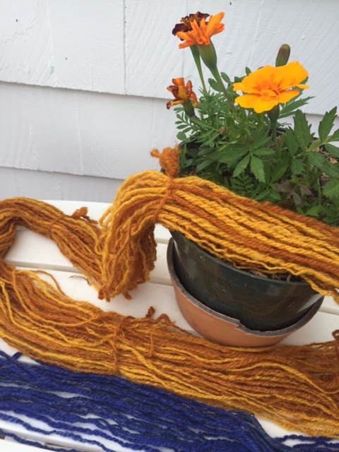 two chain plyed skeins