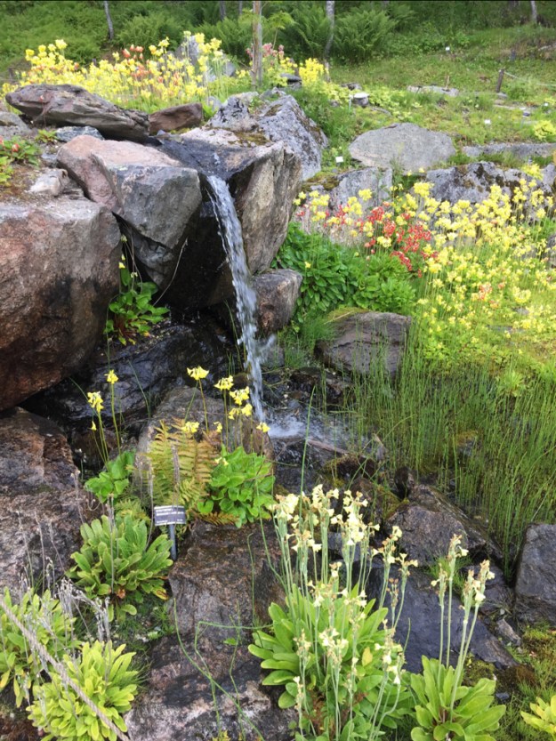 bot garden waterfall