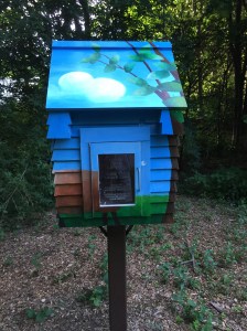 sheep pasture lib front