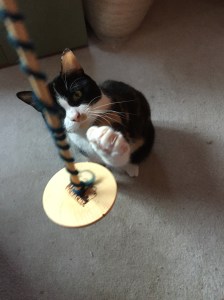 drop-spindle-and-pippi